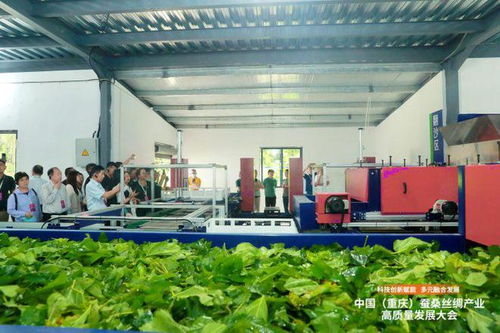 科技創(chuàng)新賦能，推動(dòng)成渝地區(qū)蠶桑絲綢產(chǎn)業(yè)一體化發(fā)展